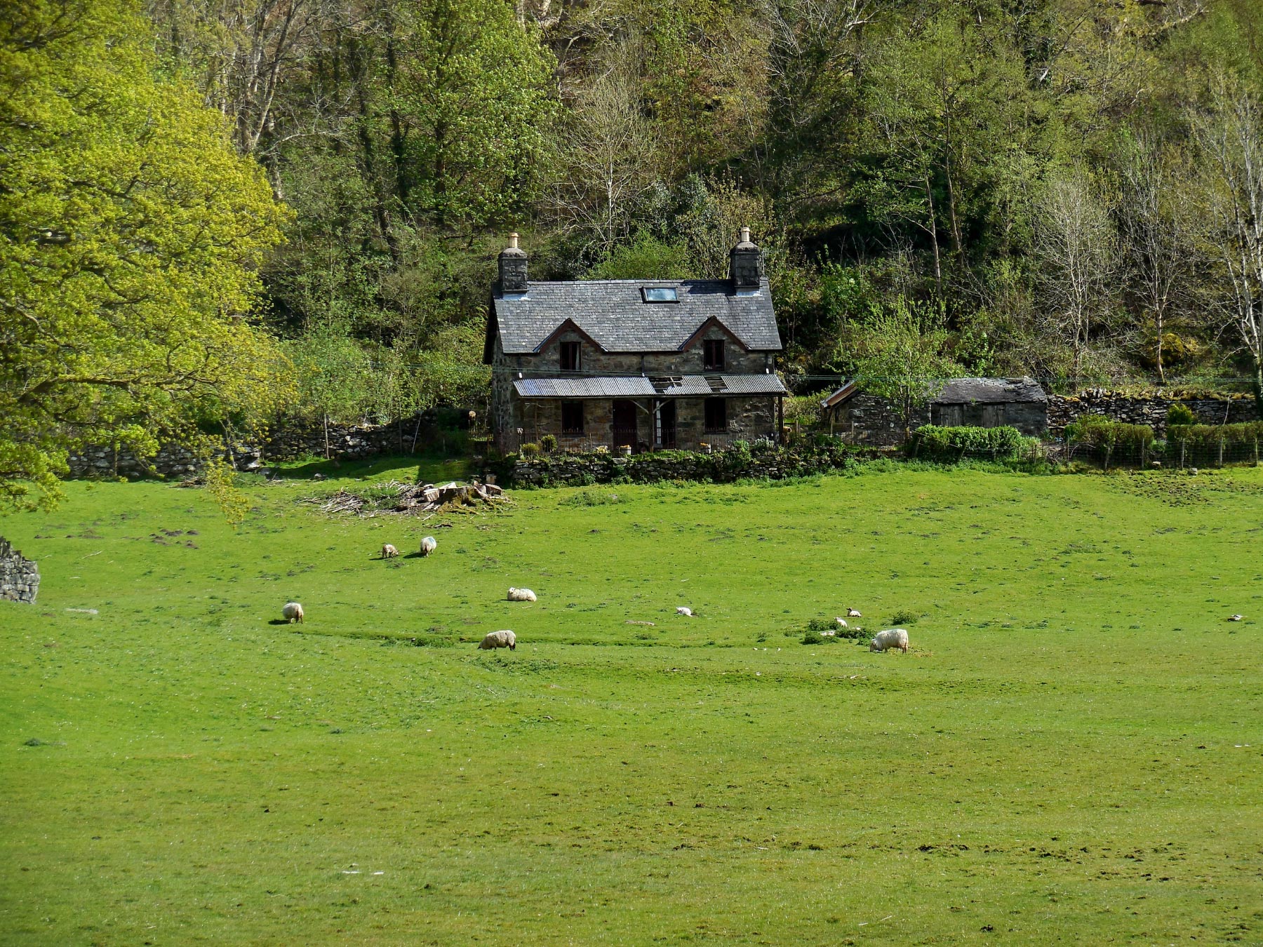 Bala